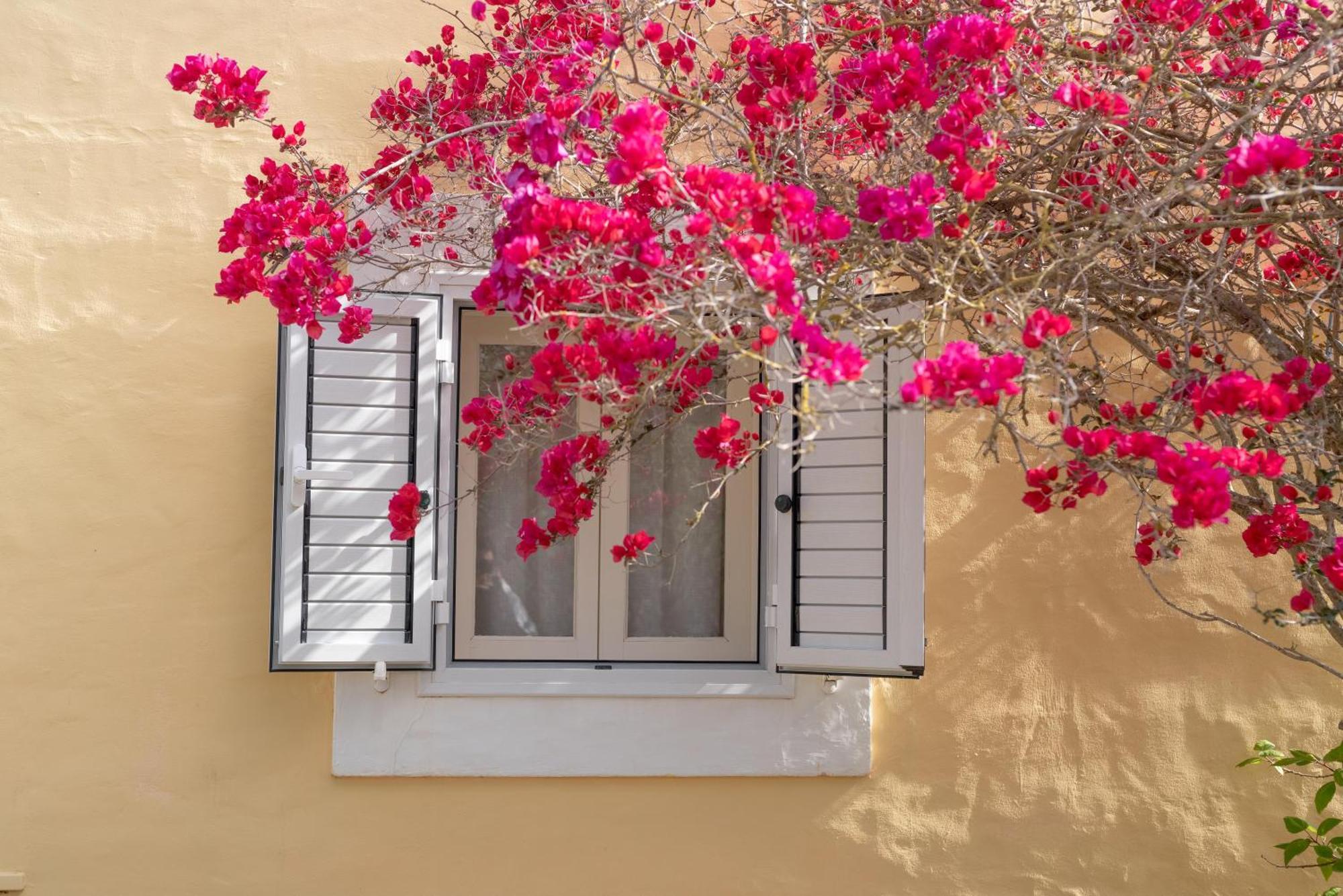 Appartement Casa Amarilla *