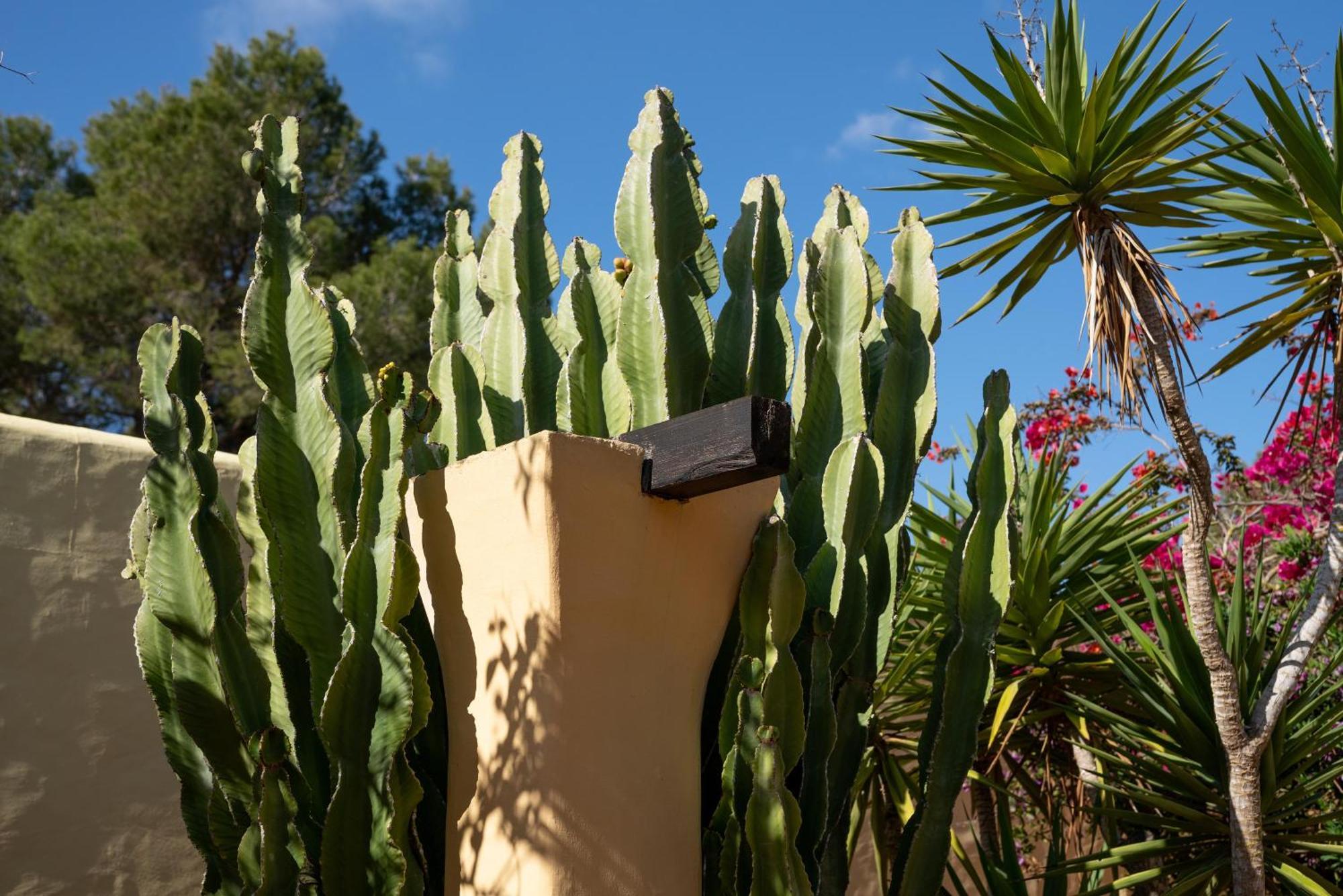 Appartement Casa Amarilla